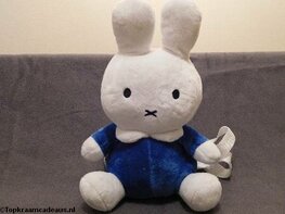 Rugzak Nijntje blauw